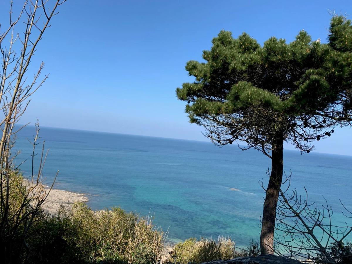 Appartement Villa Chausey, Vue Sur Le Port Granville Exterior foto